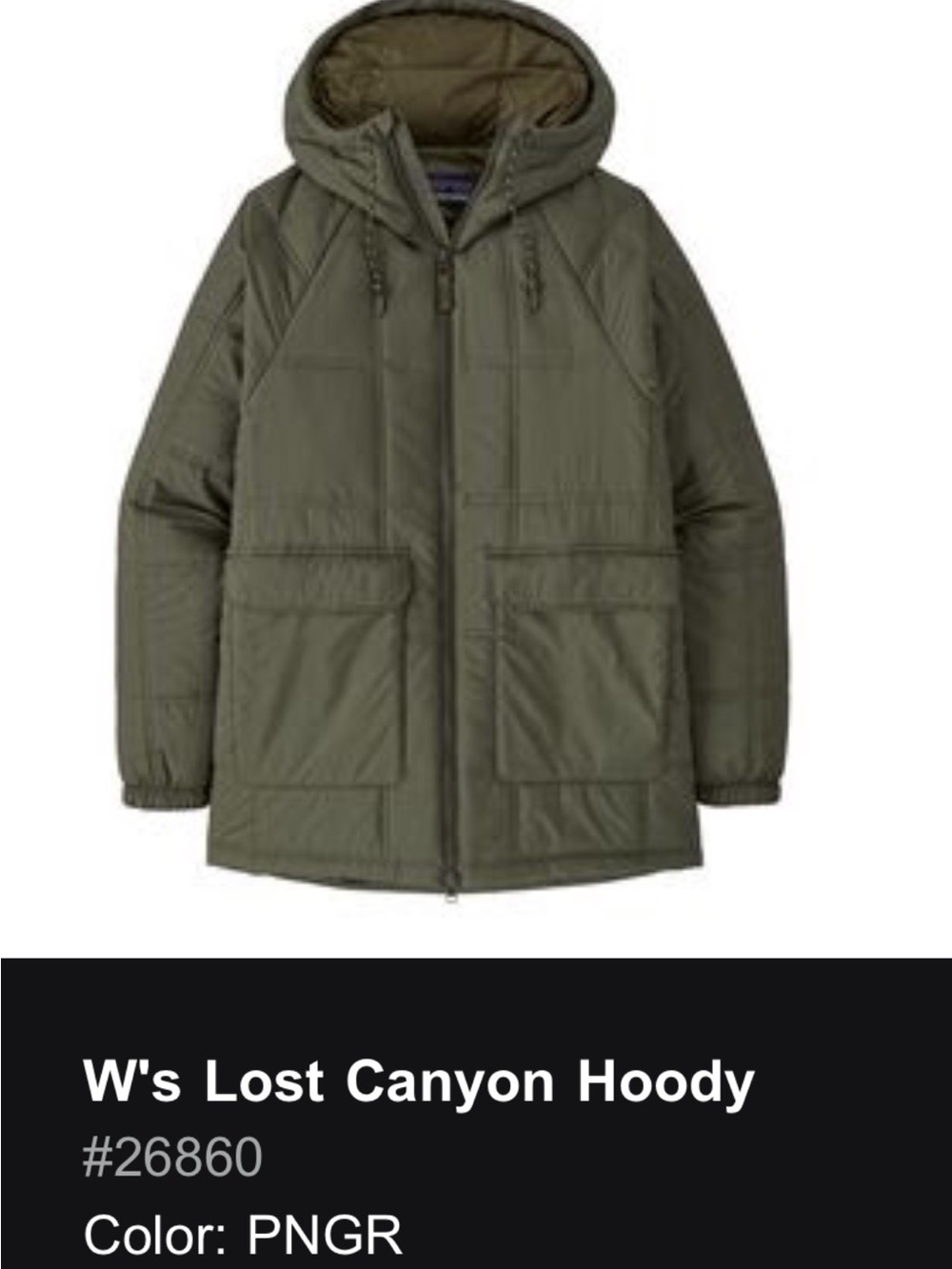 Patagonia W’s Lost Canyon Hoody, XL, Pine Green